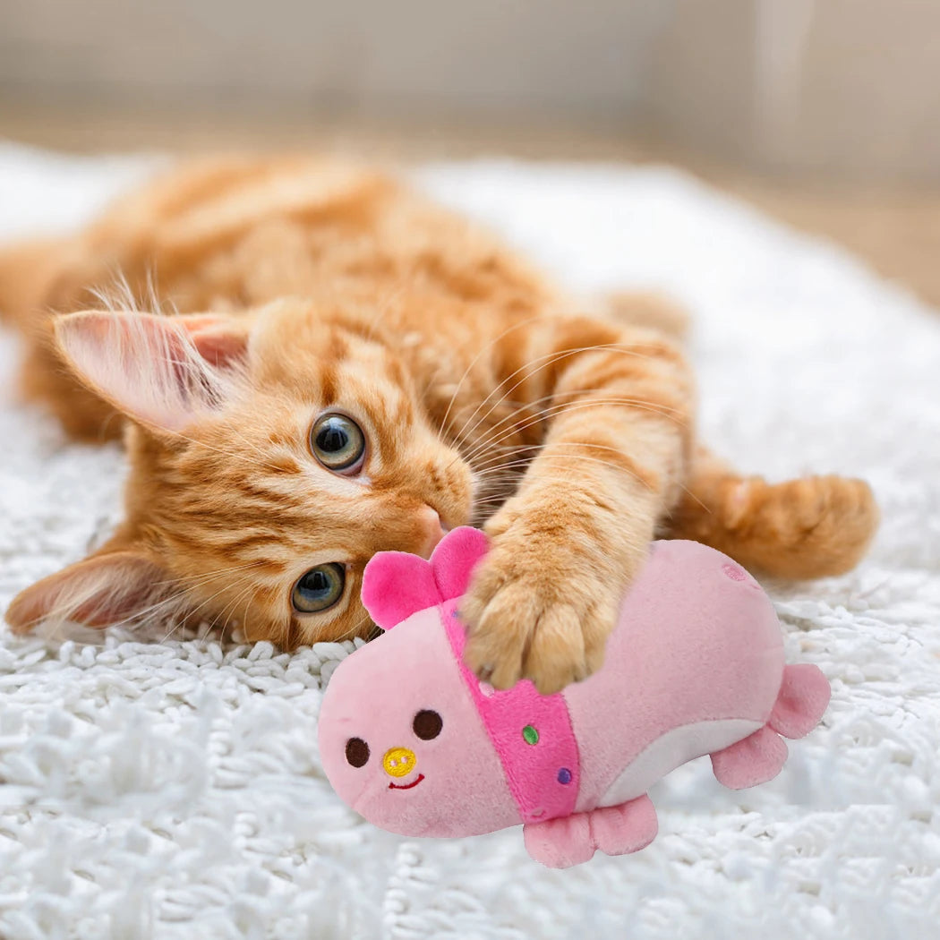 Plush Squeak Toys