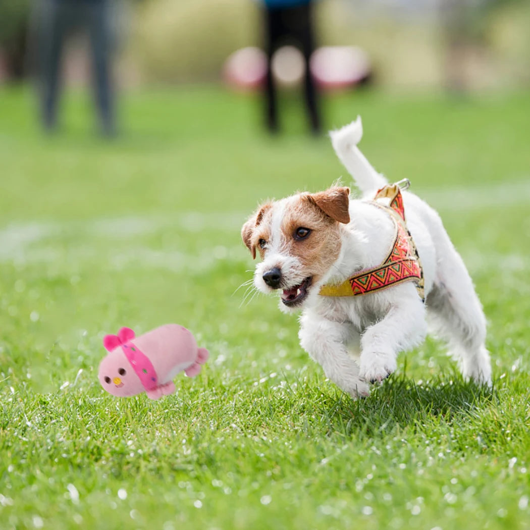 Plush Squeak Toys