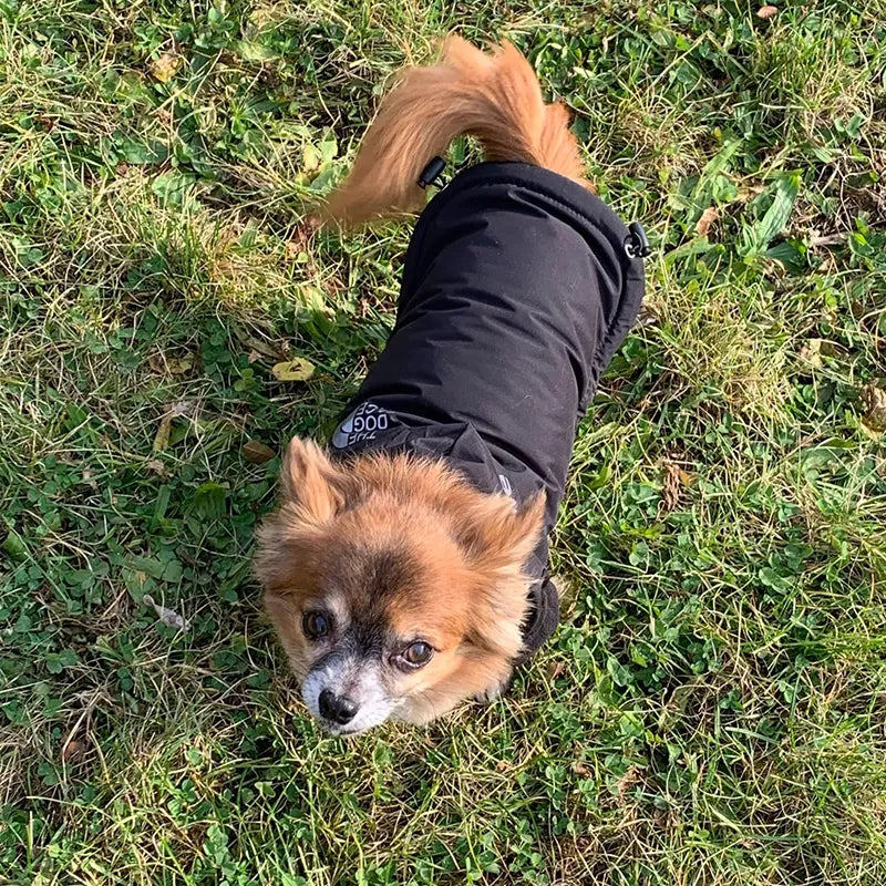 Waterproof Dog Jacket