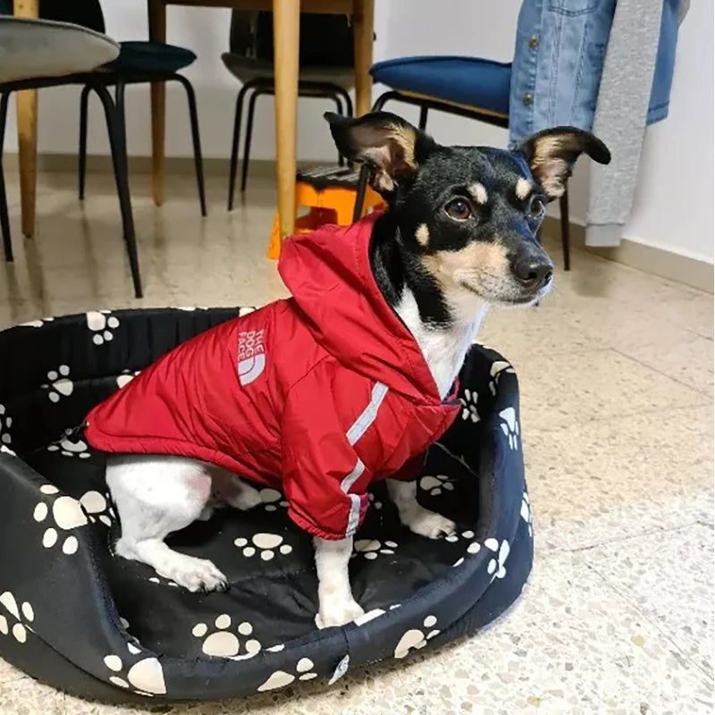 Waterproof Dog Jacket