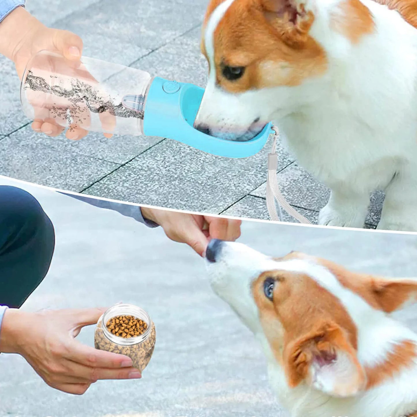 Pet Water Bottle
