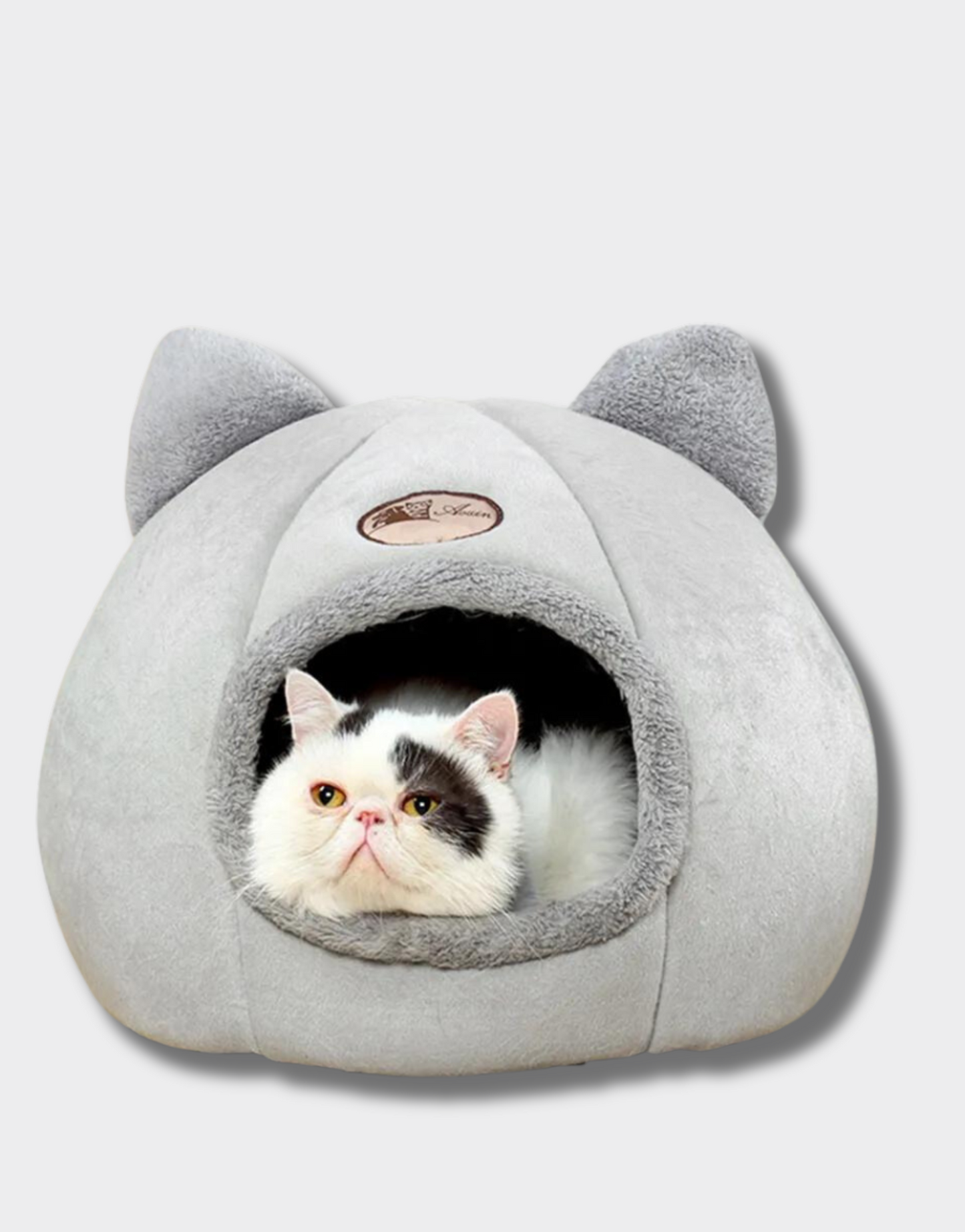 Warm And Cozy Small Dog Or Cat Bed With Soft Sleep Pad