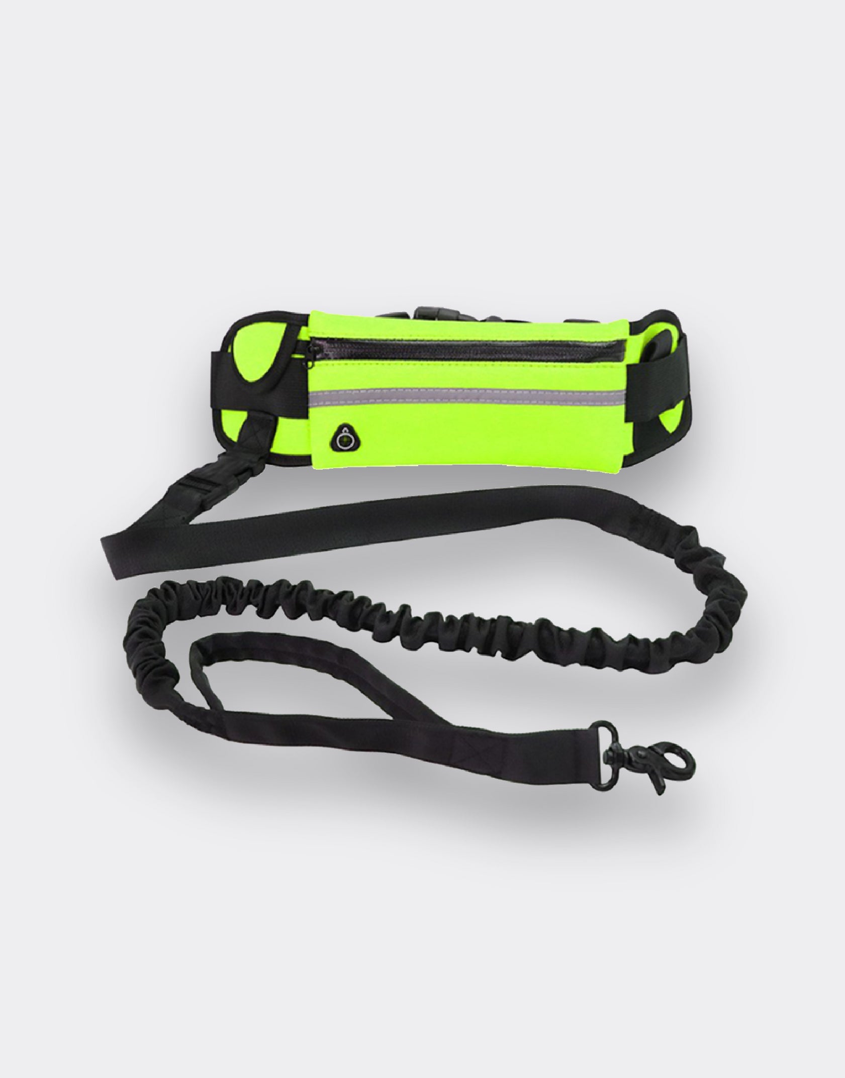 Reflective Waist Dog Leash | Chewy’s Pet Store