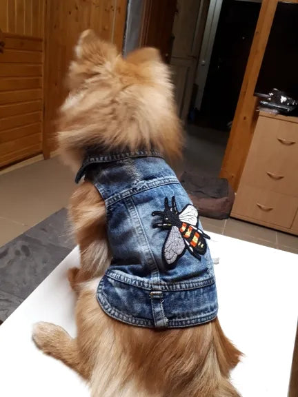 Jean Jackets for Dogs